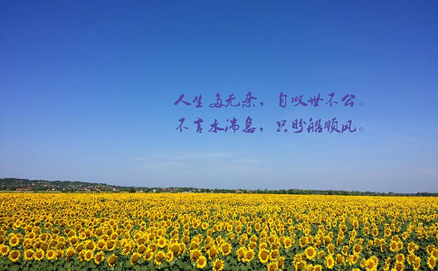 80后創業者的人生感悟！生活就是這樣…… 第2張