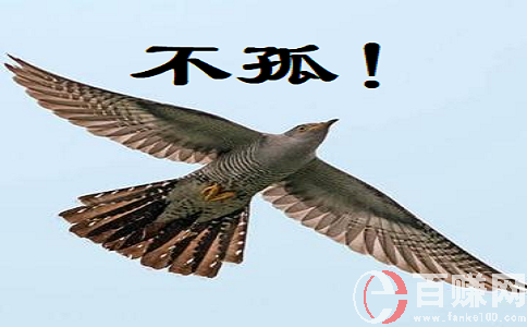 絕對的新型創業項目：人人都可做，收入不用說! 第2張
