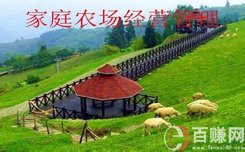 現(xiàn)在經營農場賺錢嗎?經營農場的出路在哪? 第2張 現(xiàn)在經營農場賺錢嗎?經營農場的出路在哪? 第2張
