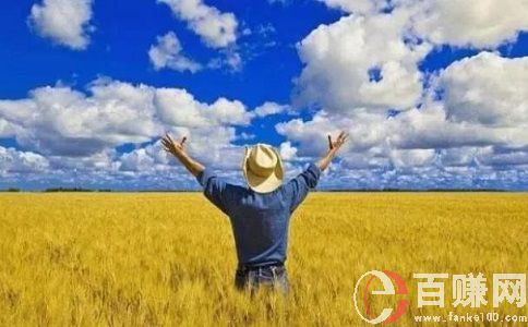八個(gè)適宜在農(nóng)村創(chuàng)業(yè)致富的項(xiàng)目!趕緊收藏! 第1張