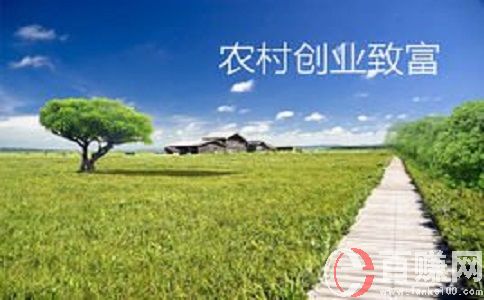 八個(gè)適宜在農(nóng)村創(chuàng)業(yè)致富的項(xiàng)目分享!農(nóng)村加工創(chuàng)業(yè)項(xiàng)目! 第2張