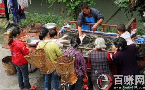 金旋風網賺:做生意，懂得營銷,你就成功了一半。 第1張